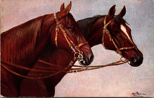 Artist Postcard of Two Horses